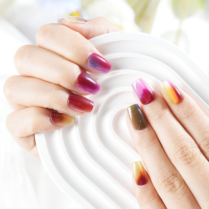 Ombre Gradient Press-On Nagelset Karnz