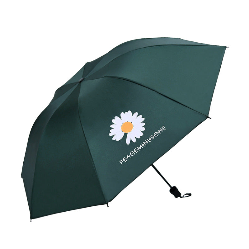Damen Regenschirm Karnz