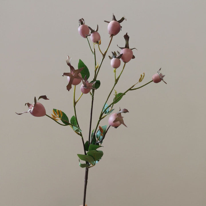 Dekorativer natürlicher getrockneter Blumenstiel