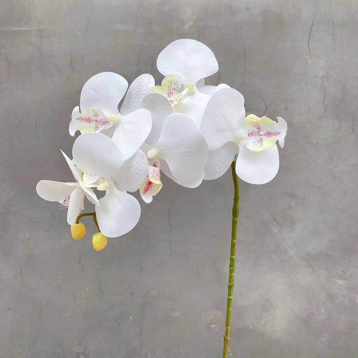 Realistische Künstliche Orchideenstamm