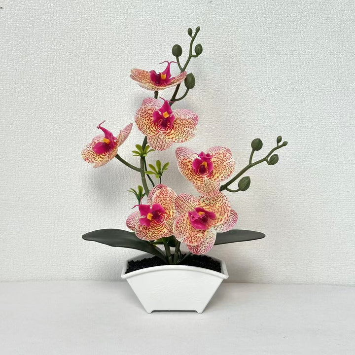 Realistische Dekorative Orchideen Pflanzenanordnung