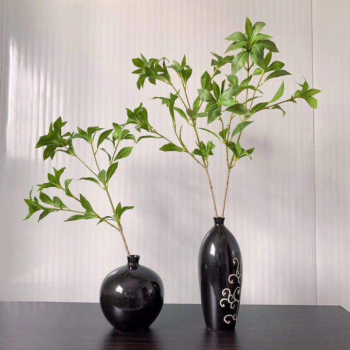 Elegante dekorative Blatta stem