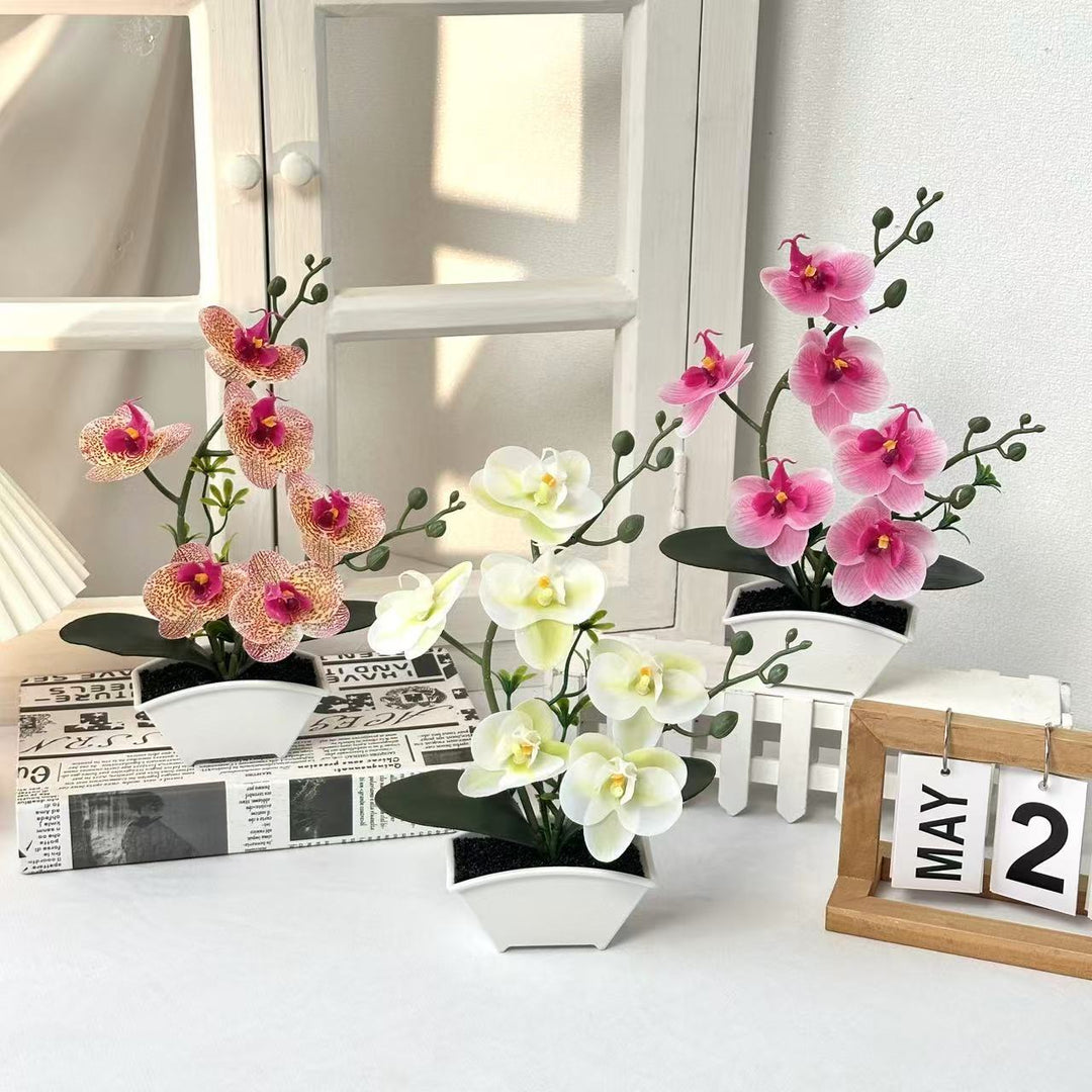 Realistische Dekorative Orchideen Pflanzenanordnung