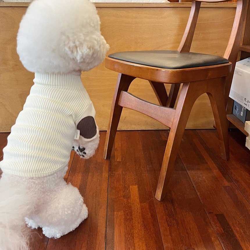 Rippierter Mock-Neck Haustierpullover mit Kontrastpatch & Sherpa-Bündchen