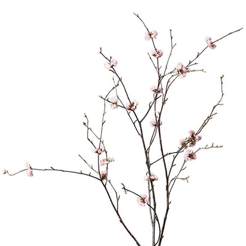 Stilvolles Trockenblumenarrangement