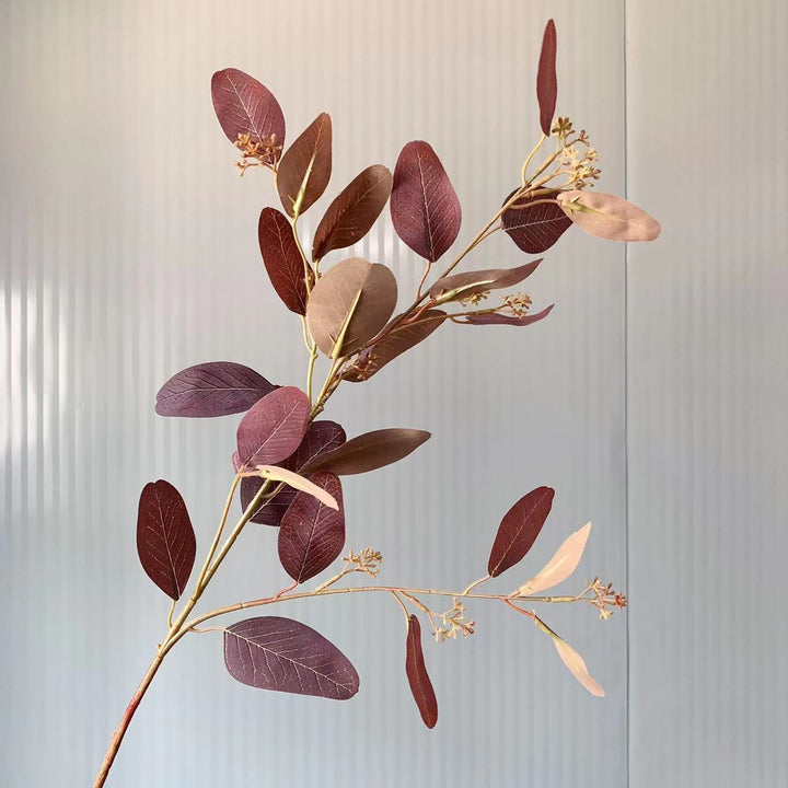 Natürlicher Eukalyptus-Stiel