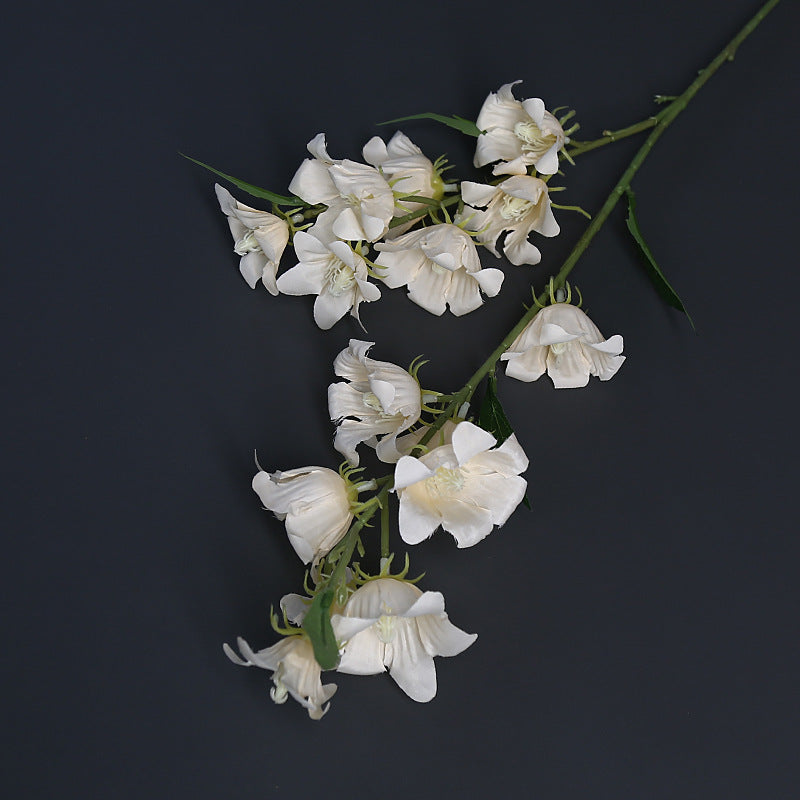 Florale Akzentstängel für die Wohnkultur-Darstellung