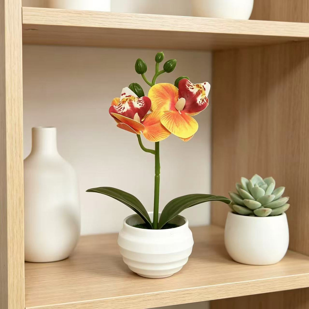 Lebensechte dekorative Orchideenpflanzenarrangement für die Wohnkultur