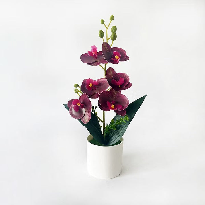 Elegante künstliche Orchideenpflanzenanordnung für die Innenausstellung