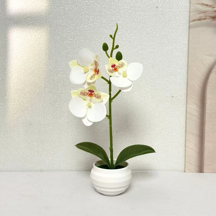 Elegante dekorative Orchideenpflanzenanordnung für die Wohnkultur