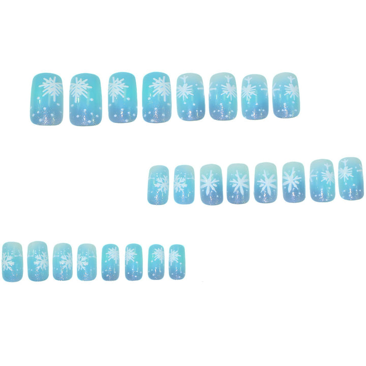 Künstlerische Frosted Winter Nagelkunst Karnz