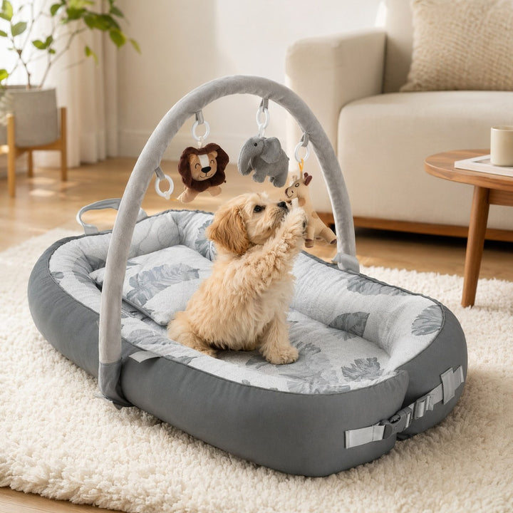 Aktivitätsspiel  Liegesofa   Hundebett