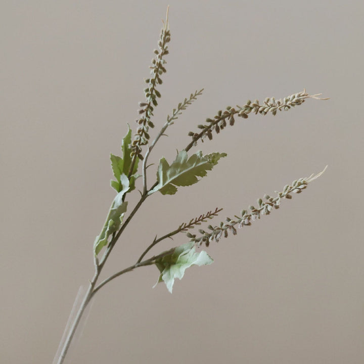 Dekorative Grünpflanze Floralstamm