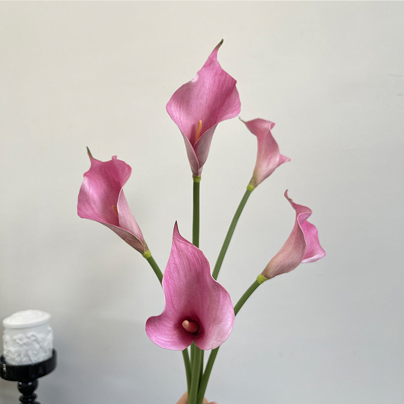 Eleganter Calla-Lilienstrauß