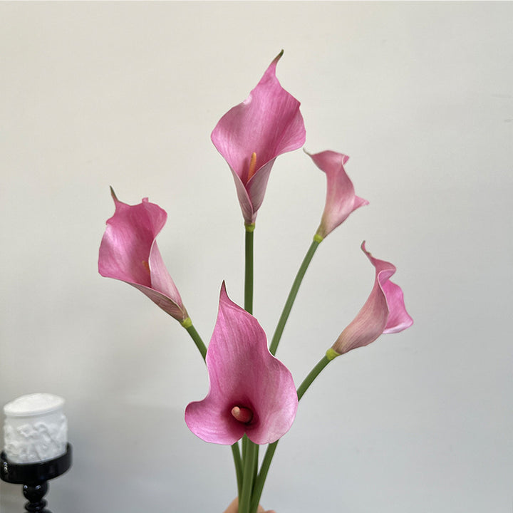 Eleganter Calla-Lilienstrauß
