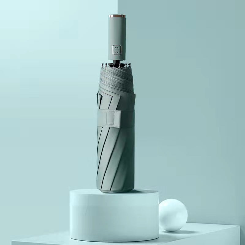 Damen Automatischer Regenschirm mit hochwertigem Griff Karnz