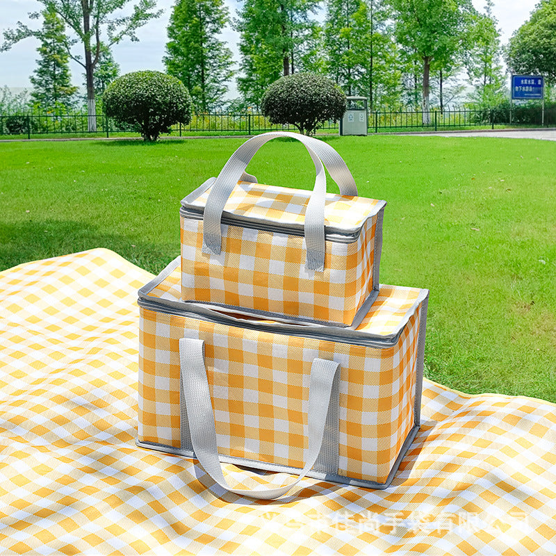 Stylische isolierte Picknick-Kühltasche