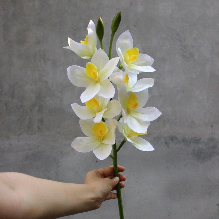 Dekorative Orchidee