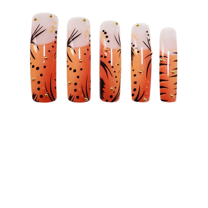 Künstlerisches Nagelkunst-Set Karnz
