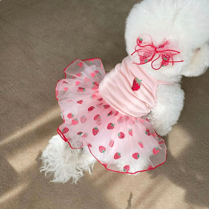 Erdbeer Tüll Tutu Kleid mit bestickter Beere und Organza