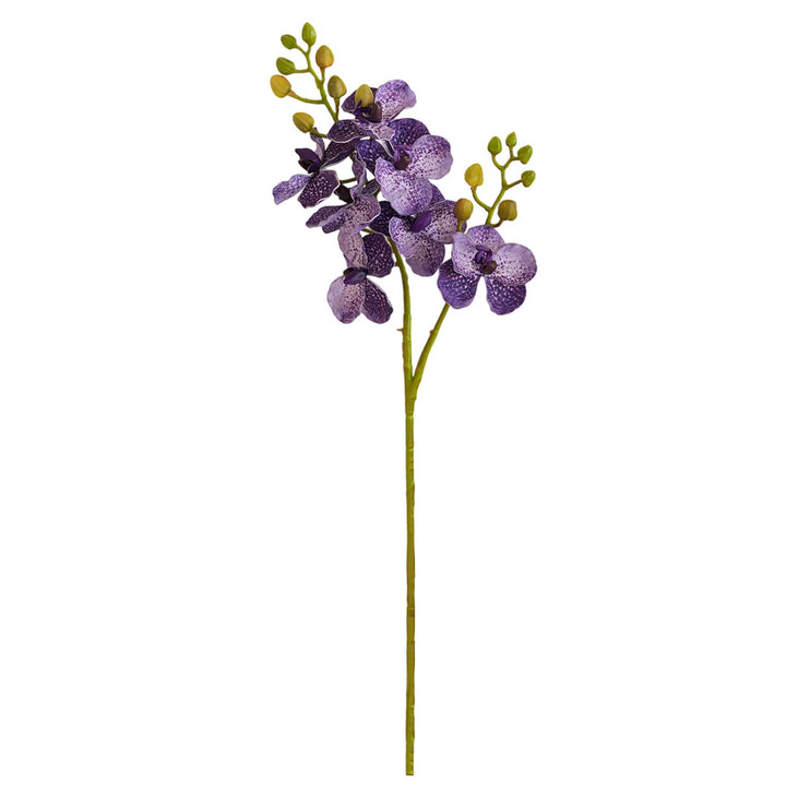 Elegante Orchideen-Stängel Karnz