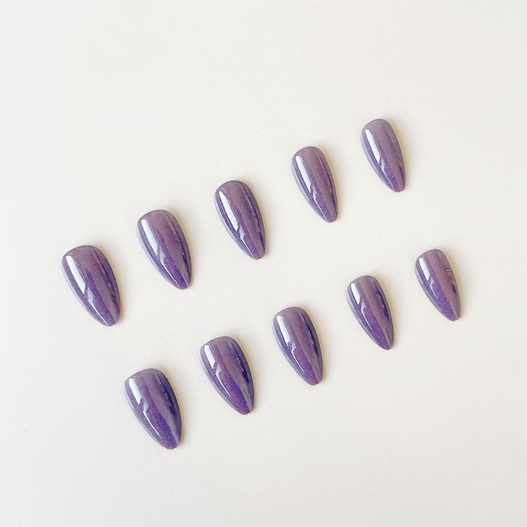 Kunstnagelset mit schimmernden und eleganten Spitzen Karnz