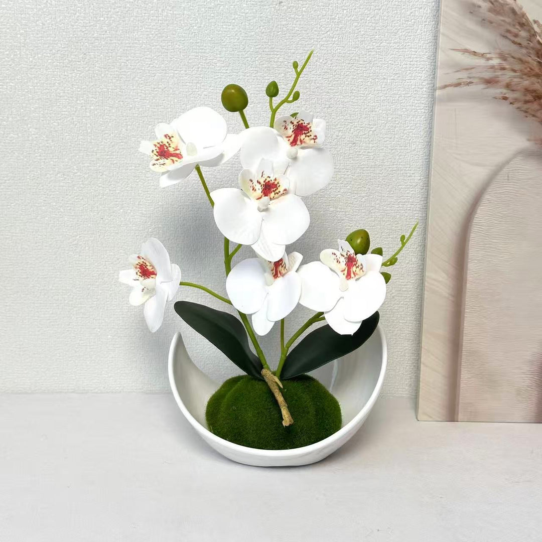 Orchideen Dekorativer Mittelpunkt