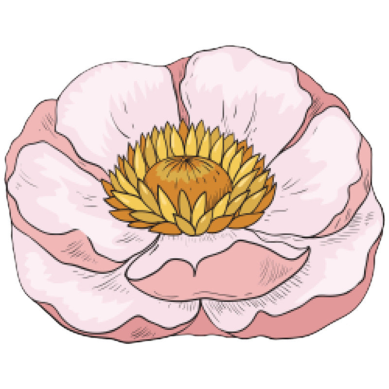 Blumenkreation Dekormatte