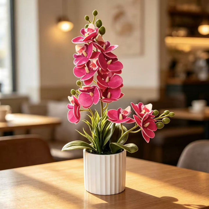 Realistische Indoor-Orchideenpflanzenanordnung