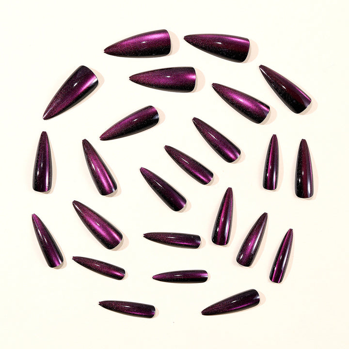 Glänzende Stiletto-Nagelverlängerungen Karnz