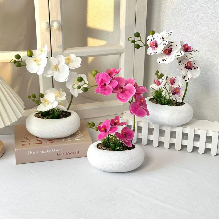 Lebensechte Orchideenpflanzenanordnung für die Heimdekoration