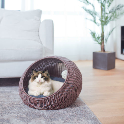 Designer Katzenbett Karnz