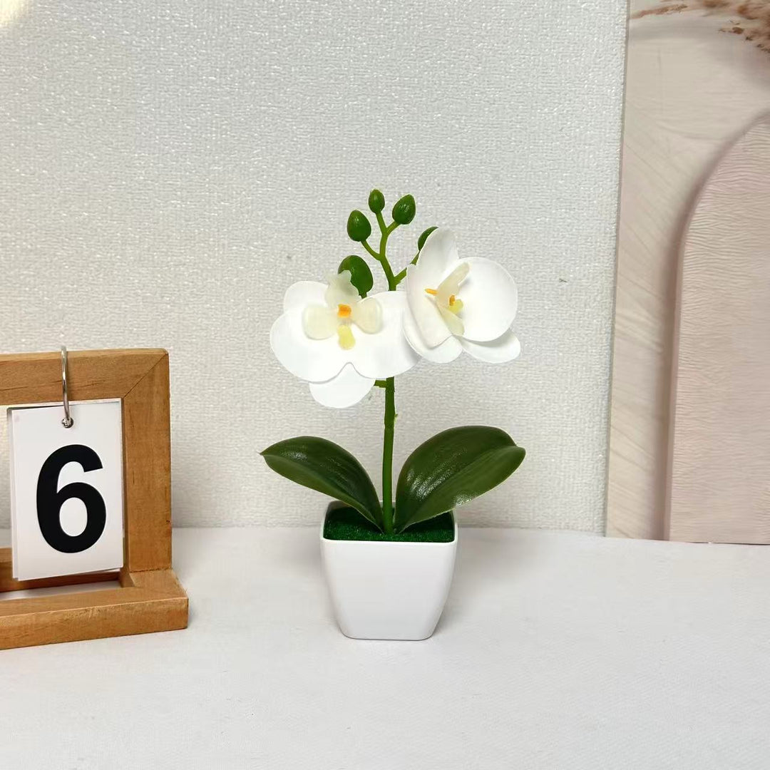 Lebensechte florale Orchideen-Darstellung für die Inneneinrichtung