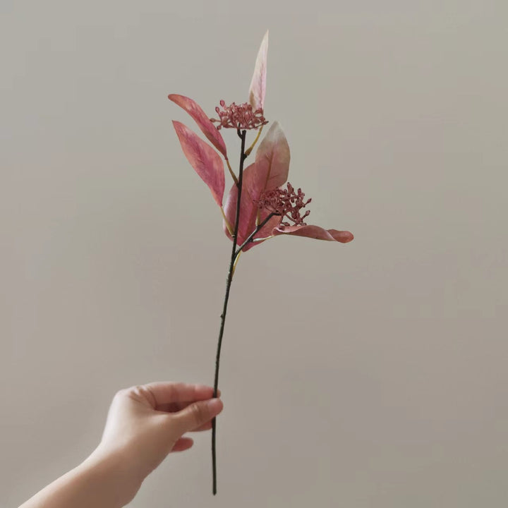 Dekorative Getrocknete Blumenstängel