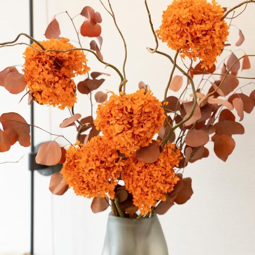 Dekorative Hortensie Blumenarrangement