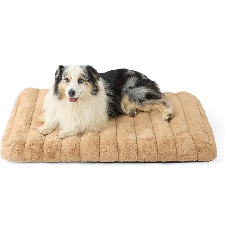 Plüsch Orthopädisches Lounge Bett Hundebett