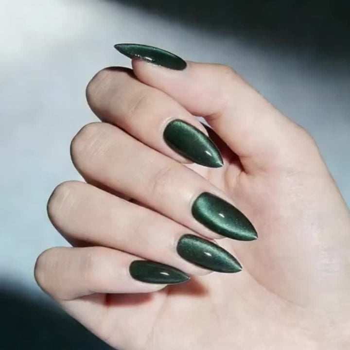 Nagelverstärker Karnz