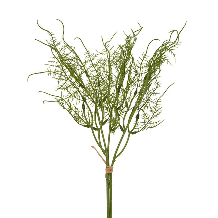Dekorative Grünpflanze Stängel