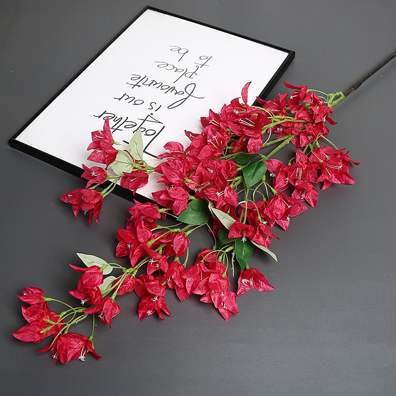 Bougainvillea Blumensstem für Wohnkultur-Display