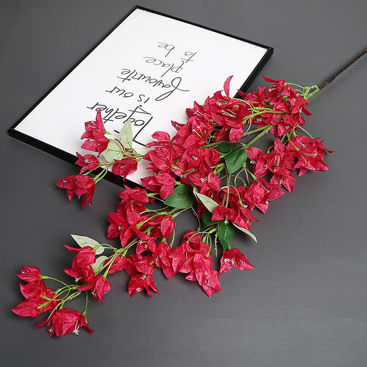 Bougainvillea Blumensstem für Wohnkultur-Display