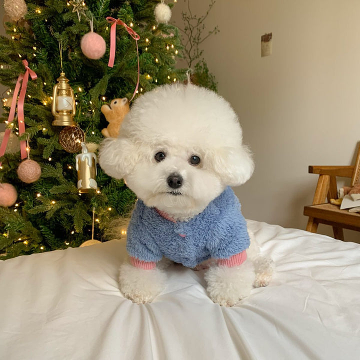 Teddy-Plüsch-Pullover-Hundepullover mit hochgeschnittenem geripptem Kragen und gestickter Schriftzüge