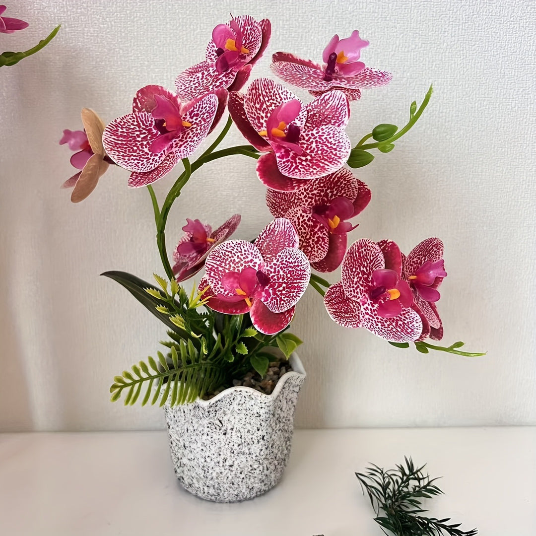 Dekorative florale Orchideenarrangement für die Wohnkultur