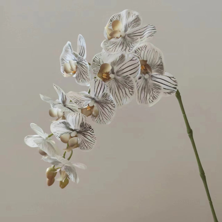 Realistische Orchideenblütenstängel