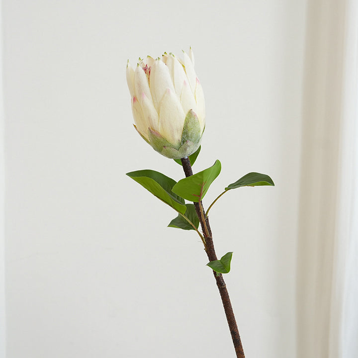 Künstliche Protea Blume Karnz