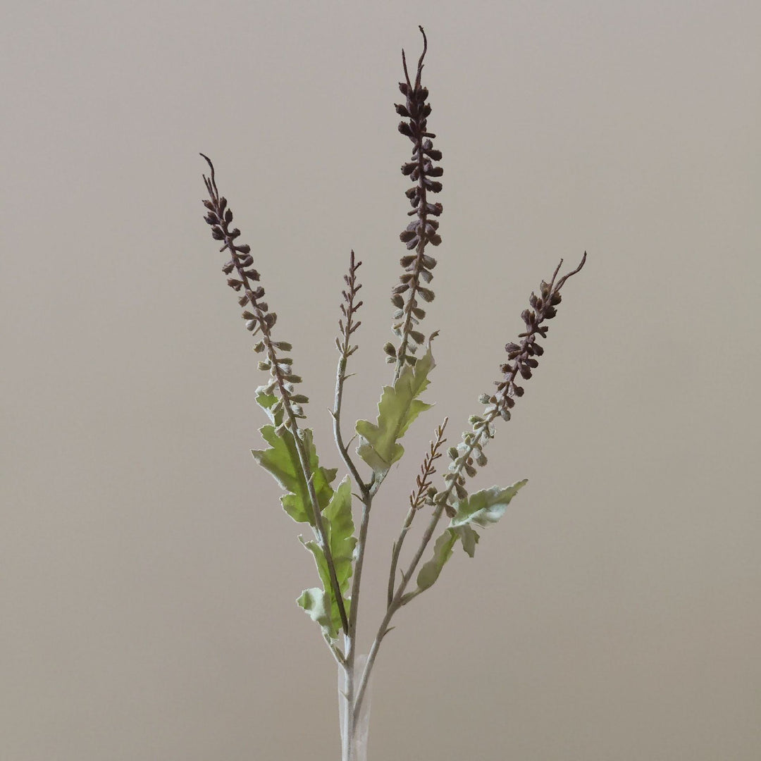 Dekorative Grünpflanze Floralstamm