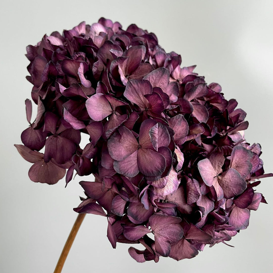 Exquisites Kunstblumenarrangement mit Hortensien