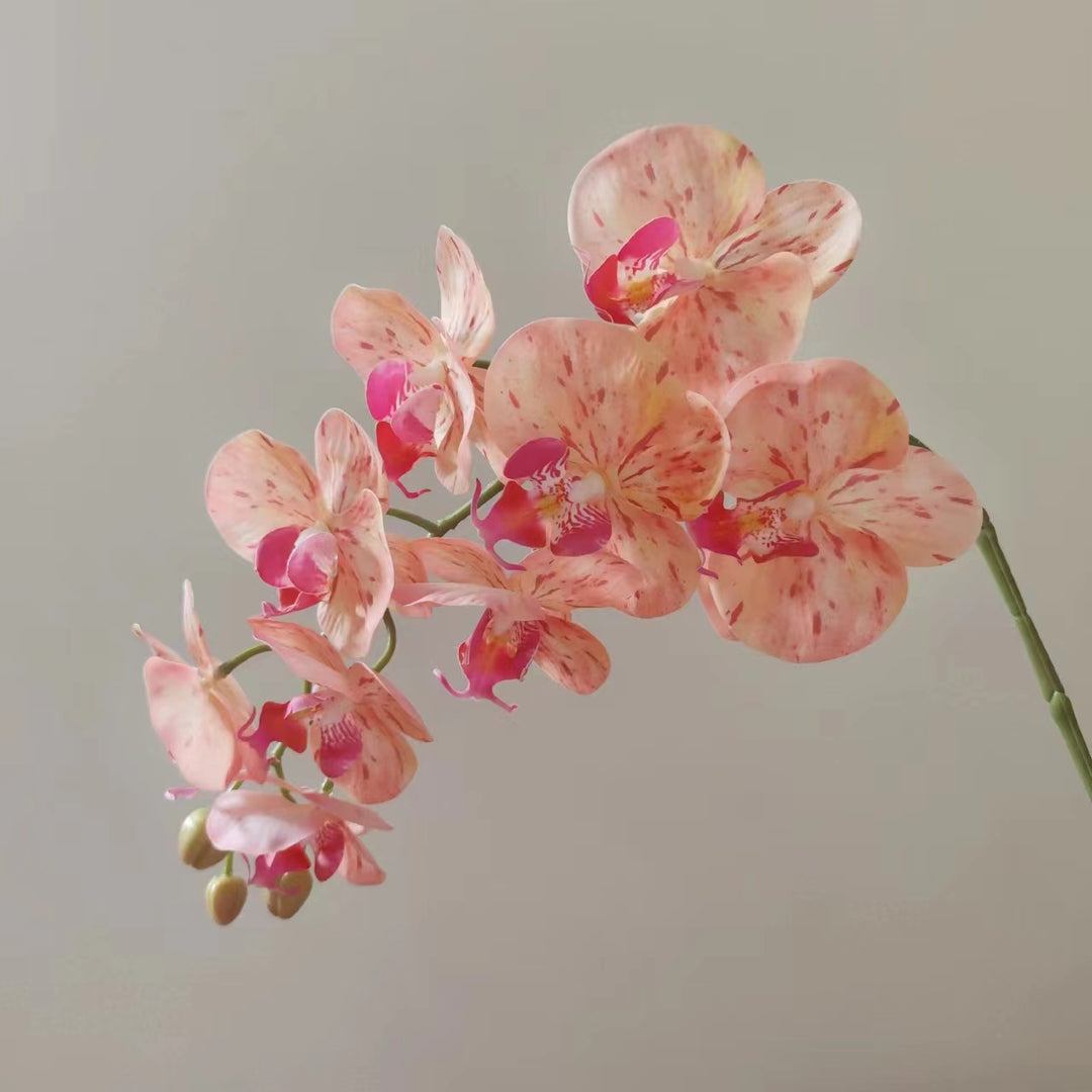 Lebensnahe Orchideenblüten-Ranke