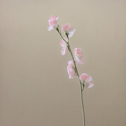 Elegante Seide Sweet Pea Stiel