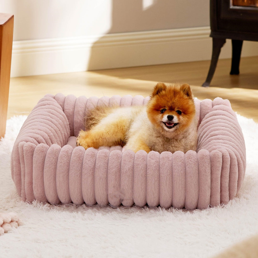 Luxuriöses Bolstered Lounge Hundebett