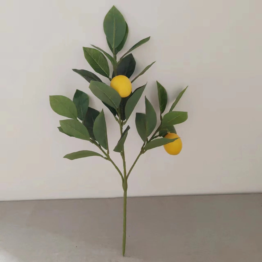Dekorative Zitronenblätterstiel